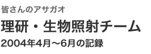 理研・生物照射チーム