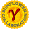 SFC Logo