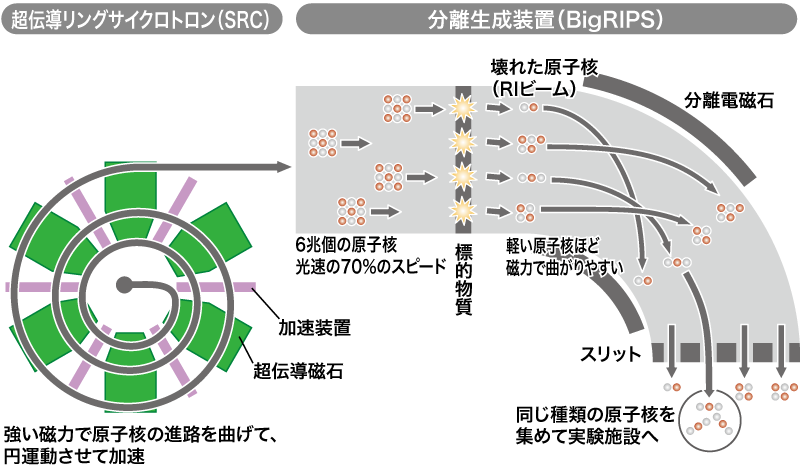 BigRIPS生成分離の模式図。BigRIPSにより同じ種類の原子核を選別して取り出す。