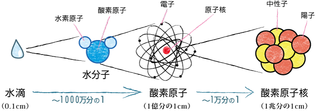 分子、原子、原子核の構造。詳細は本文にて。