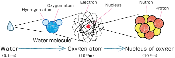 Molecule, Atom and Nucleus.