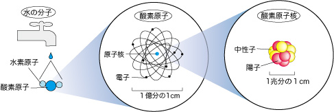 原子核の研究