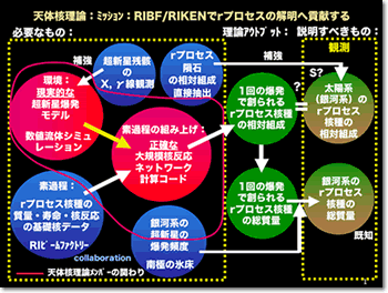 天体核理論：ミッション：RIBFでrプロセスの解明へ貢献する。天体核理論の必要なものと理論アウトプット、説明すべきものの相関図を示す。