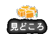 見どころ