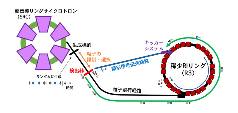 RI（不安定核）の質量を求める実験の概念図