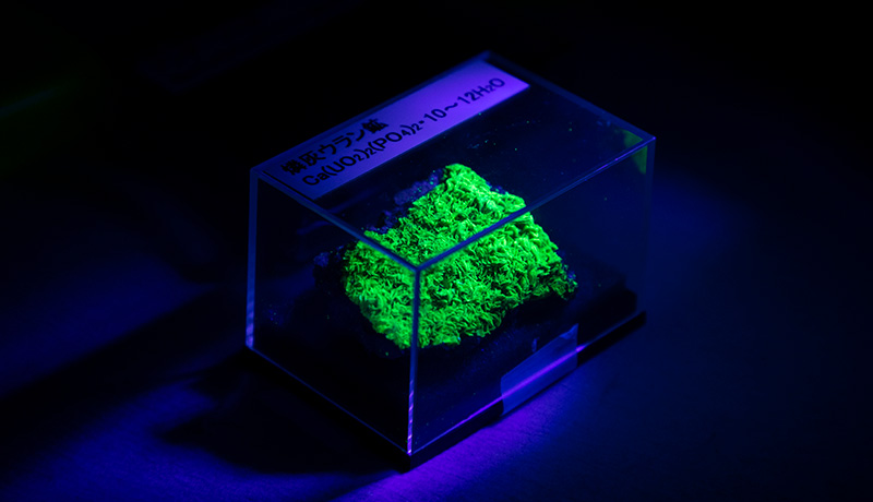 Minerals containing uranium glow when exposed to black light.