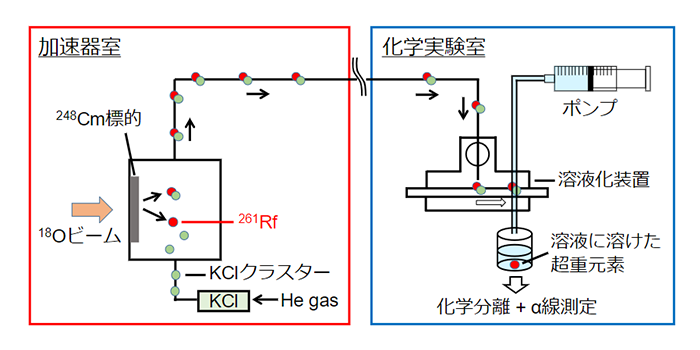 超重元素が合成されてから化学分離までの流れ。