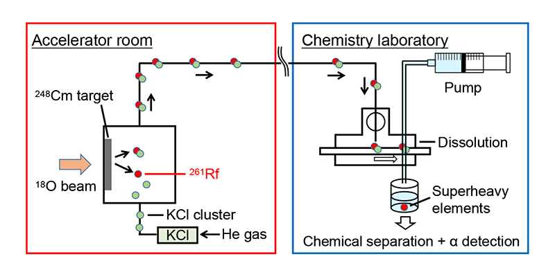 Flow from the synthesis of superheavy elements to their chemical separation.