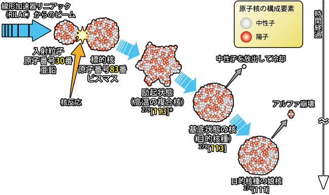 原子核衝突実験の模式図