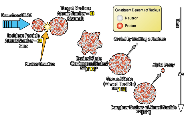 Schematic diagram of nuclear collision experiment